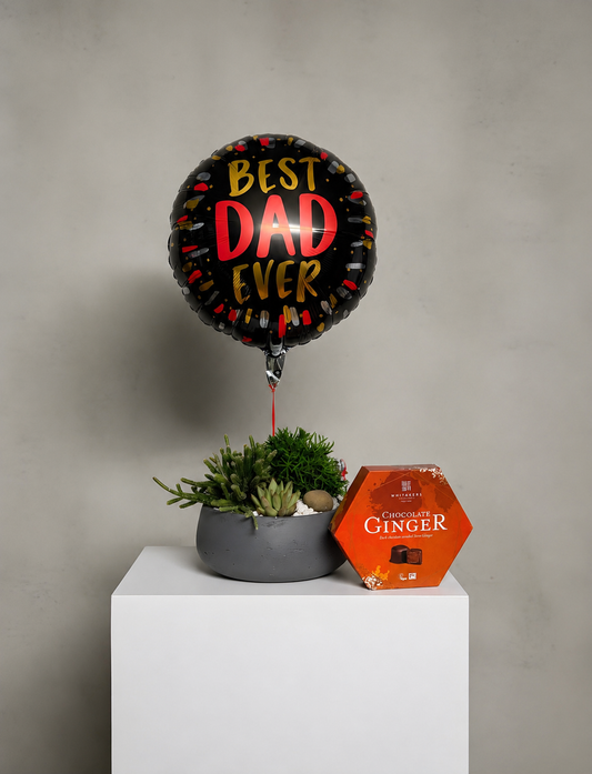Father's Day Planter Gift Set