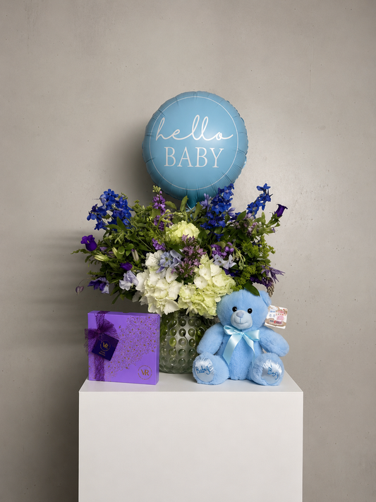 New Baby Boy Gift Set