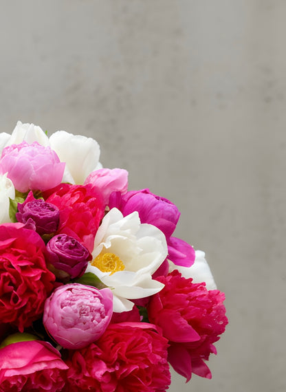 Peony Reverie