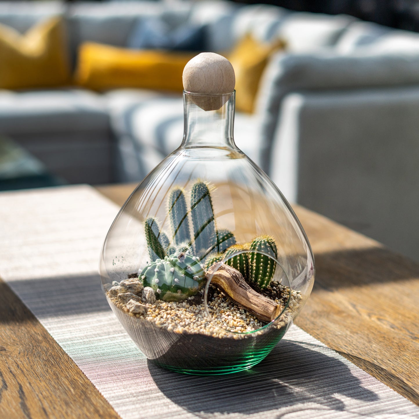Cacti Terrarium in Eco Glass