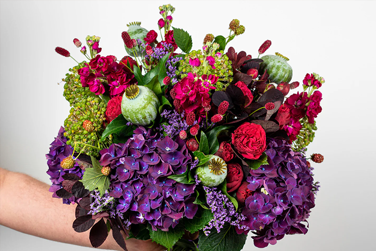 Florist & Chocolate Shop in Edinburgh Flower Delivery Harvest & Green